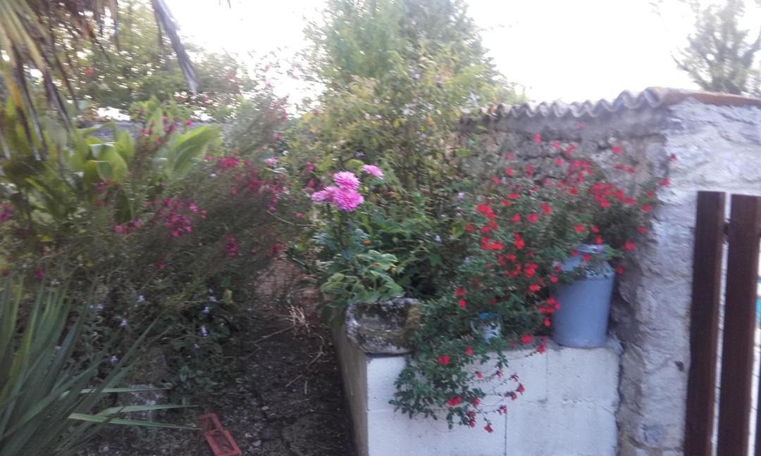 Photo of Others in Allas-Bocage
