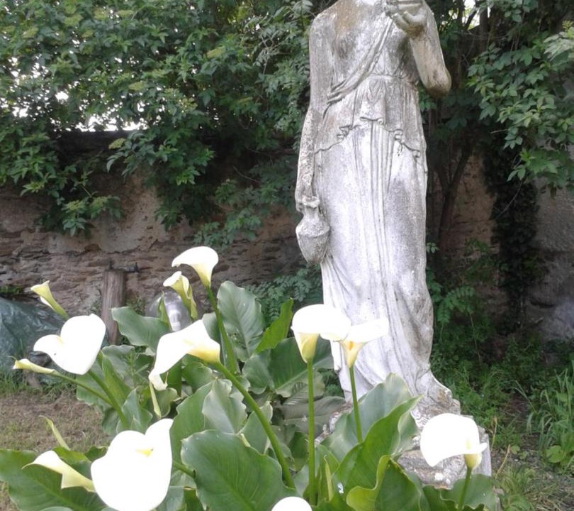 Photo of Others in Commequiers