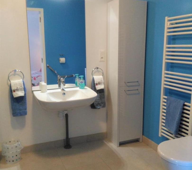 Photo of Bathroom in Saint-Seurin-de-Palenne