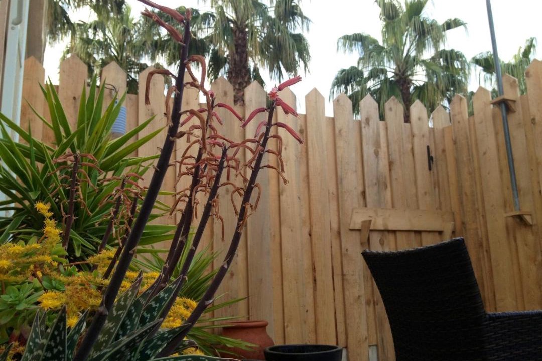 Photo of Others in Juan-les-Pins