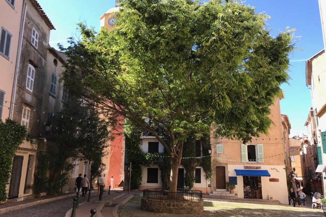 Photo of Others in Old Town