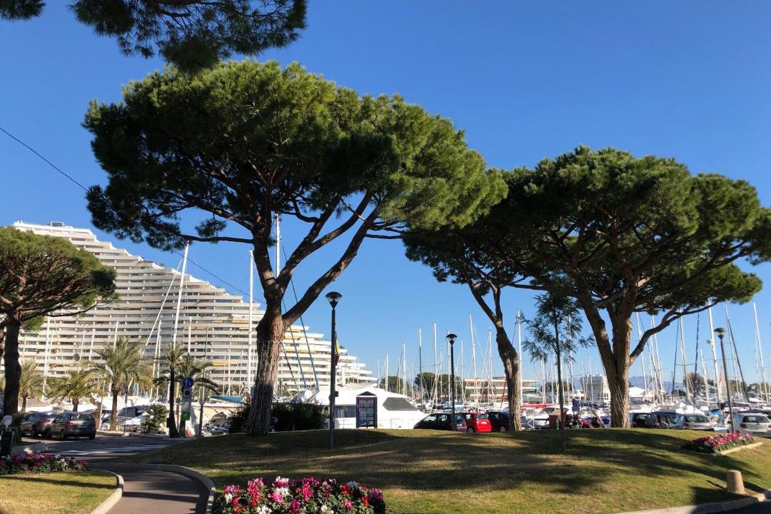 Photo of Others in Villeneuve Loubet Beach