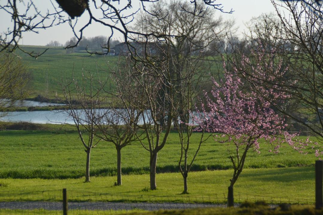 Photo of Others in Beaupreau-en-Mauges