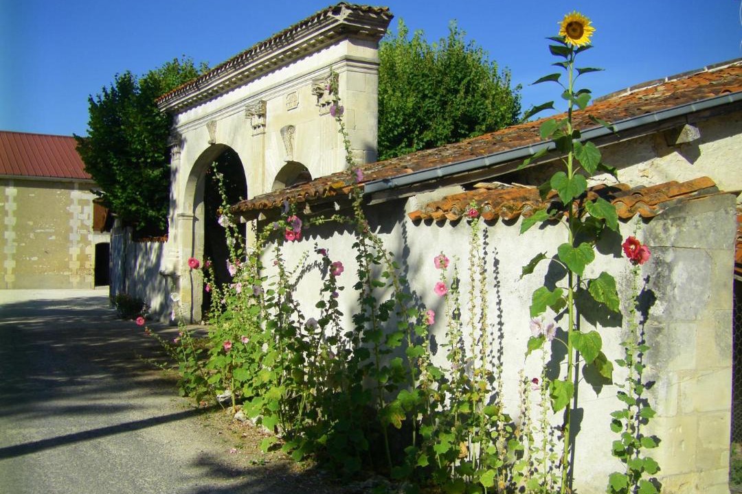 Photo of Others in Brie-sous-Archiac