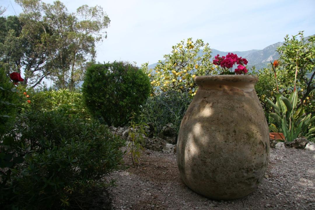 Photo of Others in Castellar