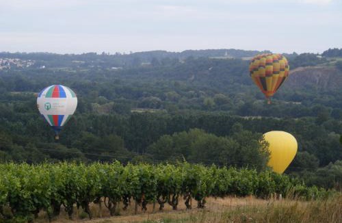 Oree d'Anjou Bed & Breakfast | Chambres d'Hôtes Vignes et Loire