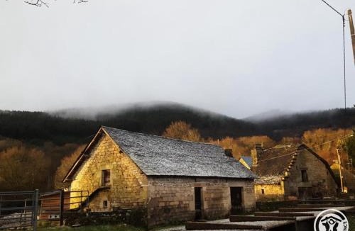 Chaumeil Apartment | Gîte de France Des alpagas 2 épis - Gîte de France 12 personnes MAE-9944