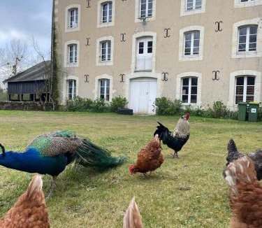 Loir en Vallee House | Ancien moulin au bord du Loir, avec piscine chauffée