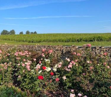 Gensac Bed & Breakfast | Chateau Carbonneau