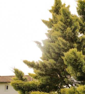 5-room villa | 6 people | Les Forges Villas